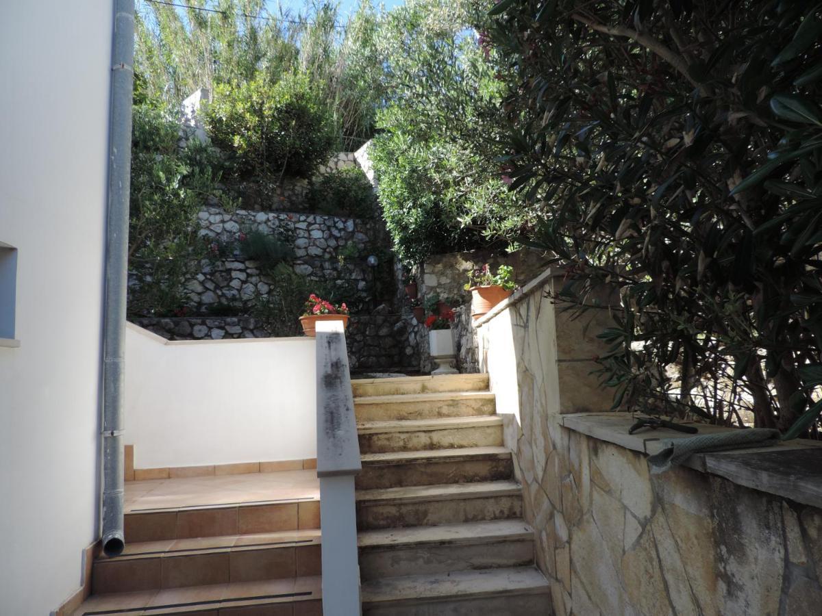Apartmani Lavanda Pag Town Dış mekan fotoğraf