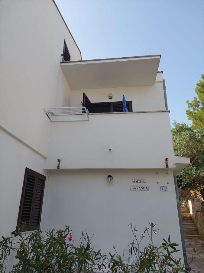 Apartmani Lavanda Pag Town Dış mekan fotoğraf